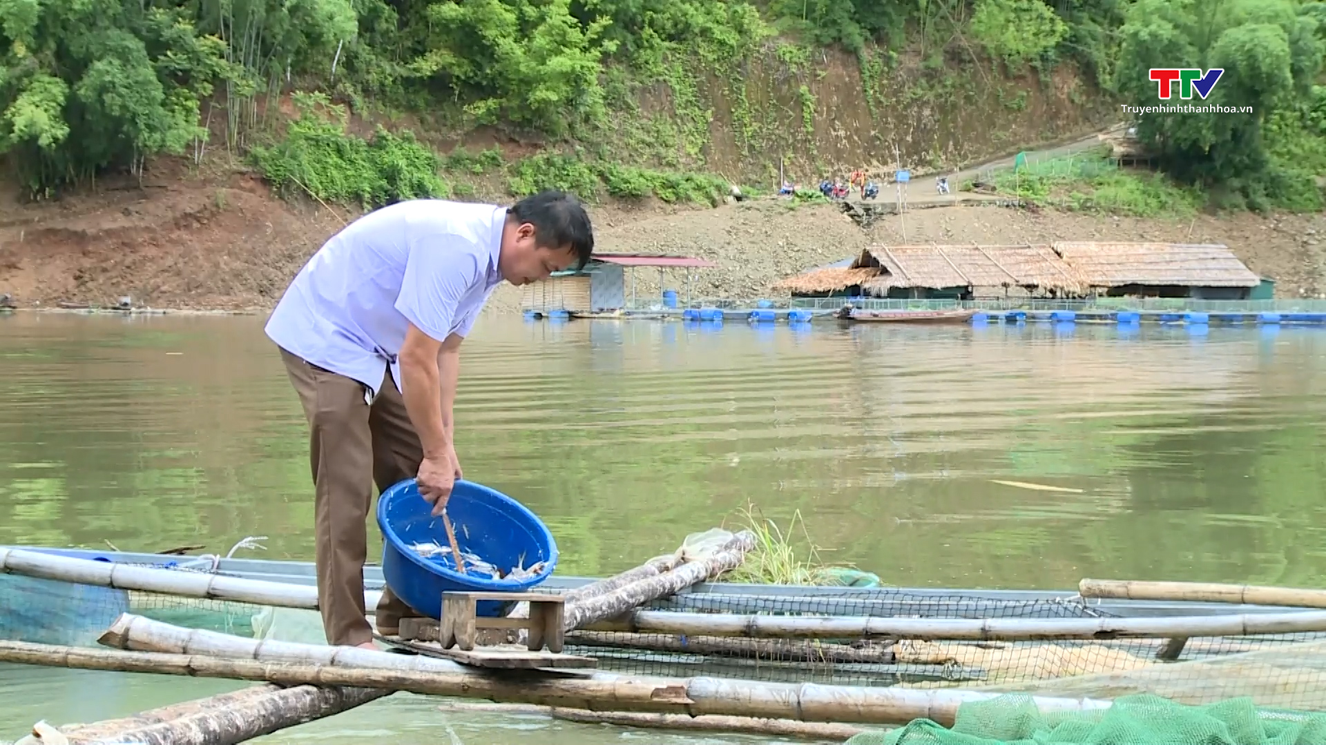Hiệu quả kinh tế từ nghề nuôi cá lồng ở thủy điện Trung Sơn- Ảnh 3.