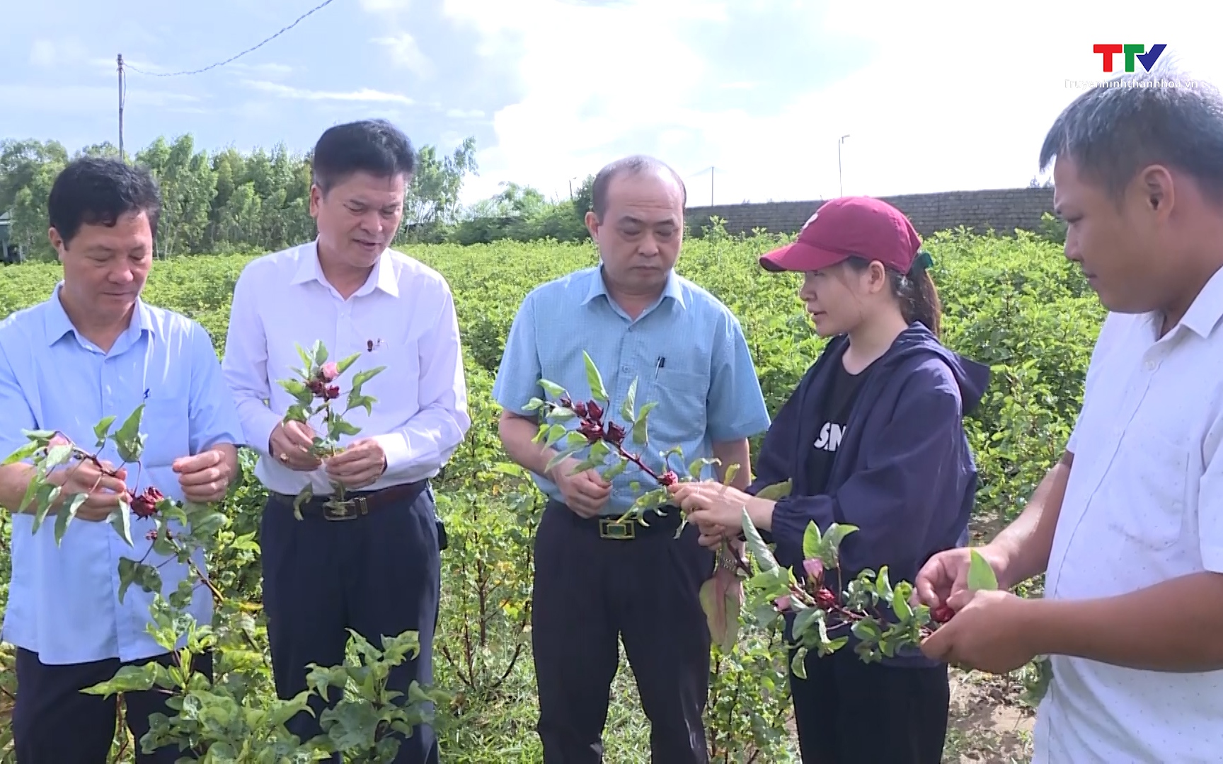 Hiệu quả từ phong trào nông dân sản xuất kinh doanh giỏi ở thị xã Nghi Sơn, tỉnh Thanh Hóa