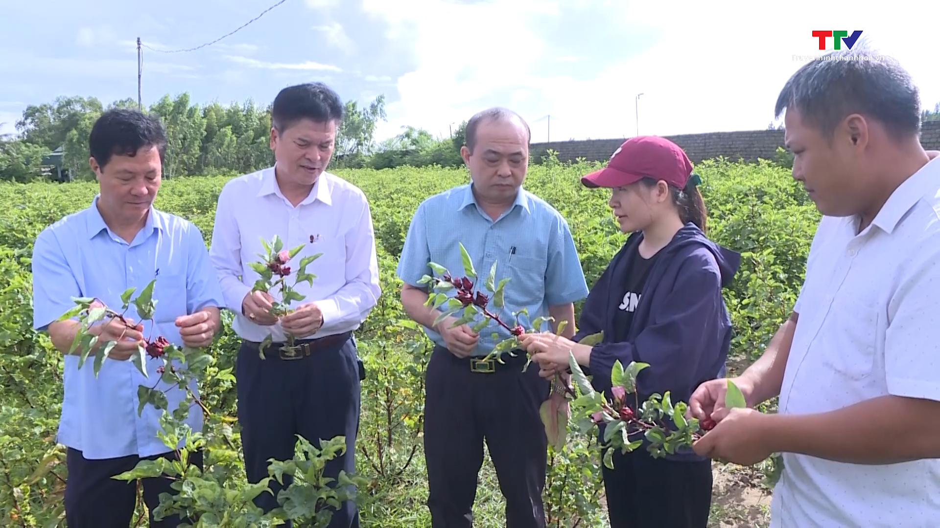 Hiệu quả từ phong trào nông dân sản xuất kinh doanh giỏi ở thị xã Nghi Sơn, tỉnh Thanh Hóa- Ảnh 5.