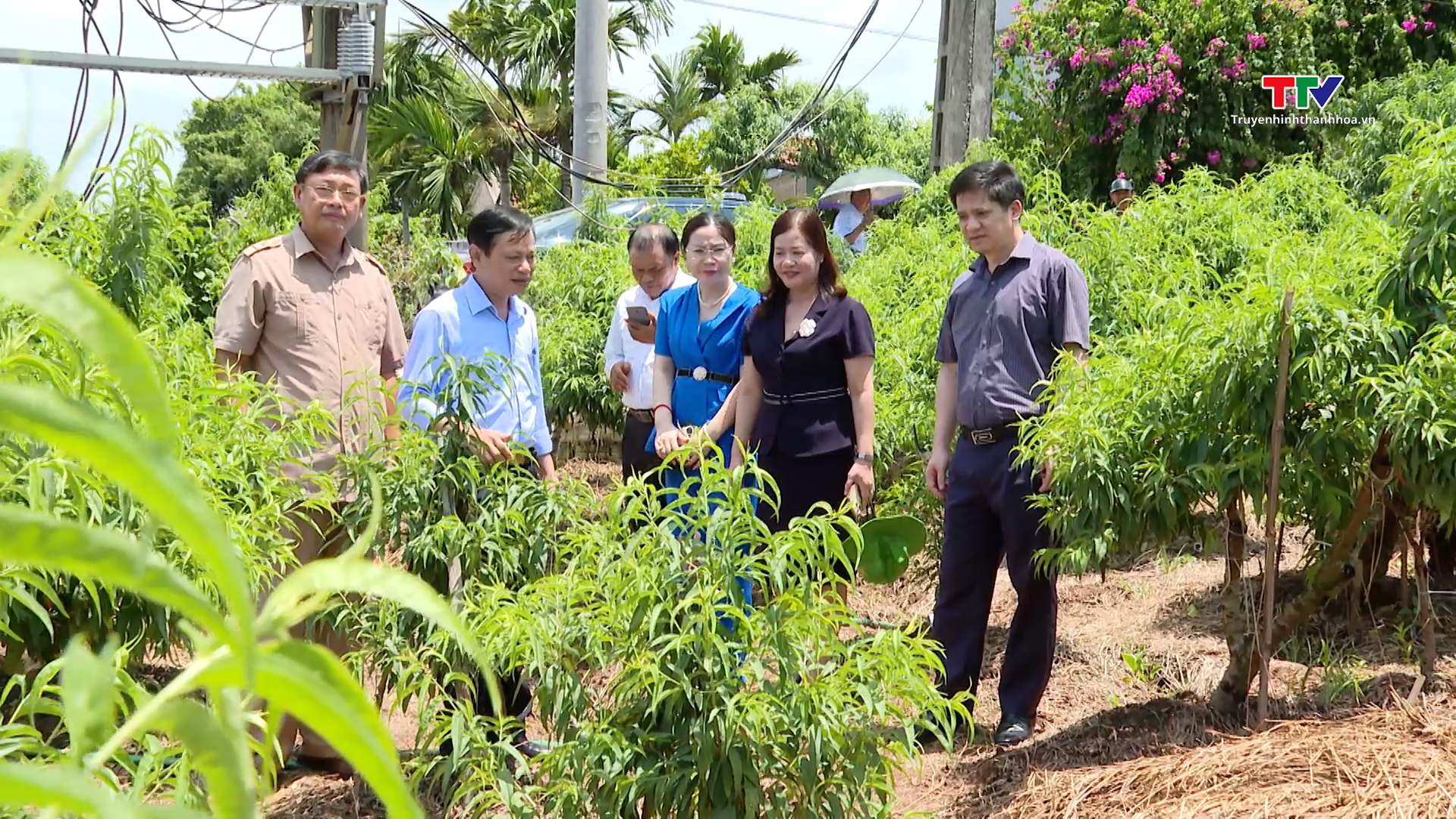 Trung ương Hội Nông dân Việt Nam làm việc tại huyện Nga Sơn- Ảnh 1.