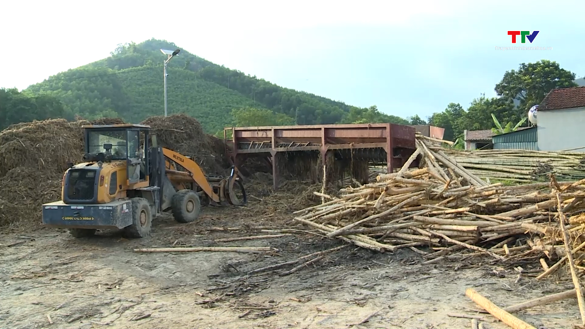 Thường Xuân: Xử lý dứt điểm vi phạm tại các cơ sở thu mua nguyên liệu gỗ rừng trồng tự phát- Ảnh 4.