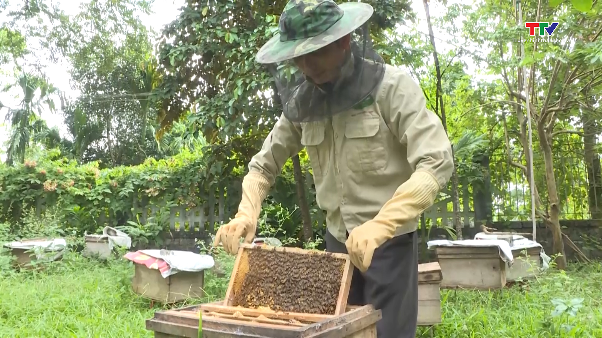 Tăng giá trị nông sản, thực phẩm từ phát triển sản phẩm OCOP- Ảnh 1.