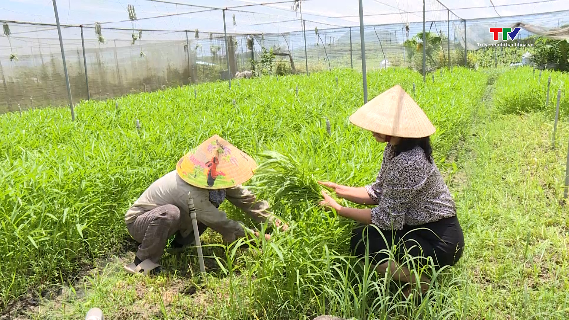 Những doanh nhân nữ tiêu biểu khẳng định vị trí, vai trò trong phát triển kinh tế - xã hội của tỉnh Thanh Hóa- Ảnh 3.