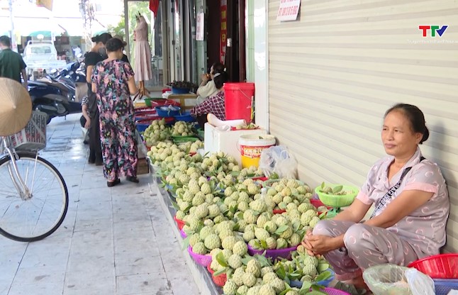 Phường Ba Đình, thành phố Thanh Hóa tăng cường đảm bảo hành lang an toàn giao thông- Ảnh 3.