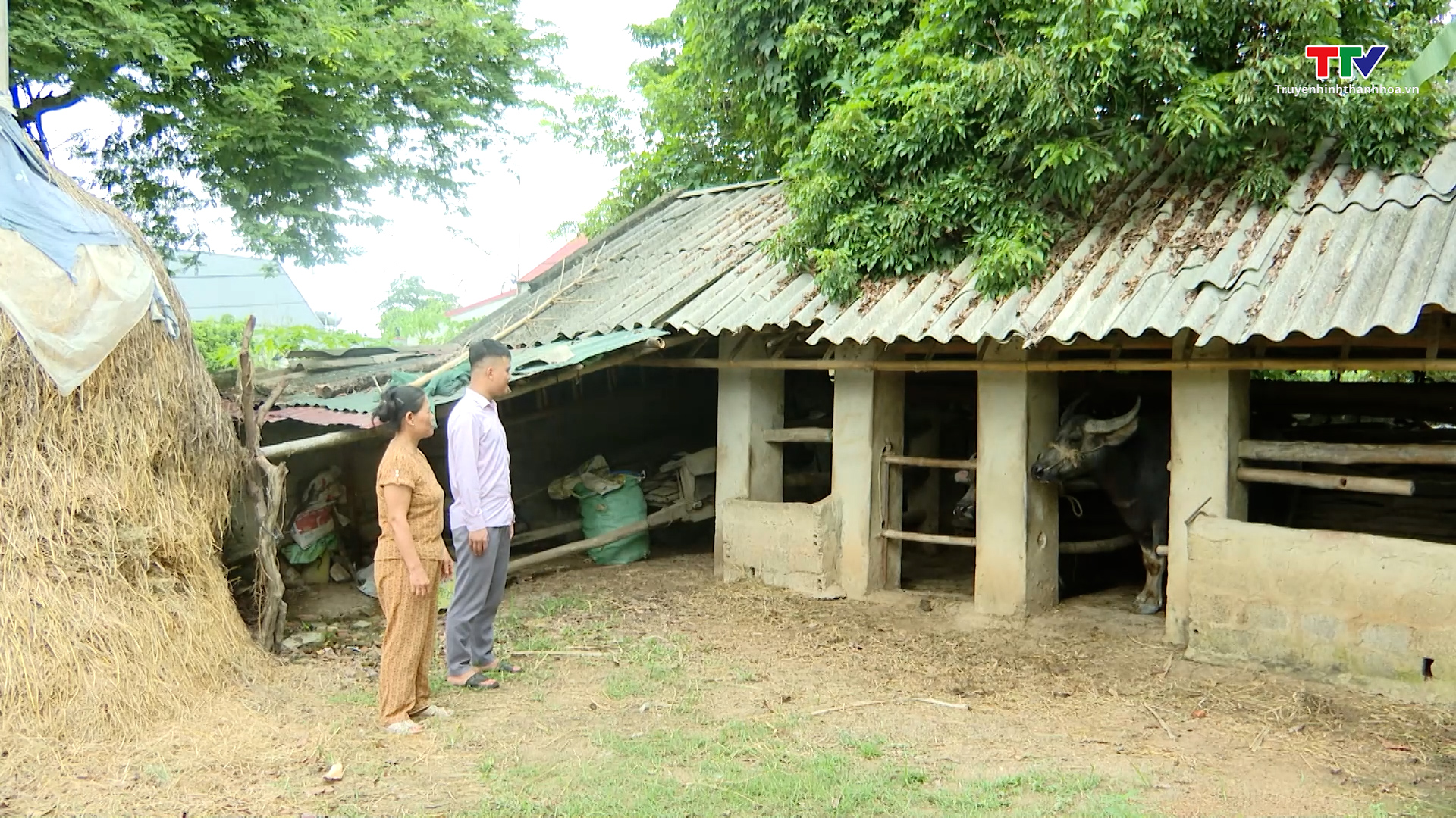 Huyện Thọ Xuân nỗ lực thực hiện chương trình mục tiêu quốc gia giảm nghèo nhanh và bền vững
- Ảnh 2.