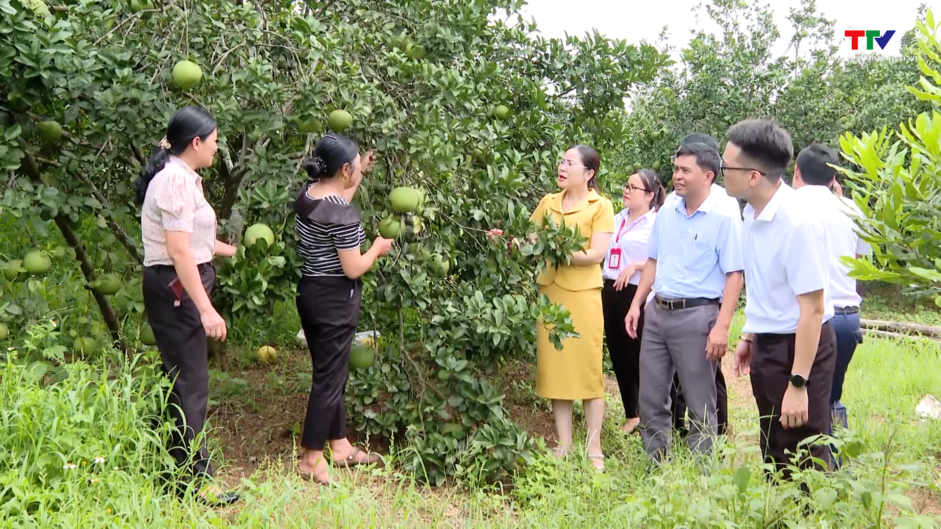 Hiệu quả nguồn vốn tín dụng ưu đãi phát triển nông nghiệp, nông thôn- Ảnh 4.