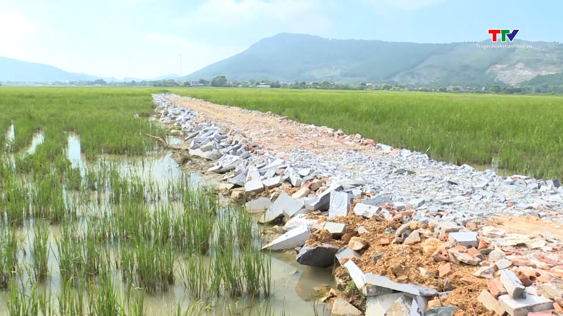 Thi công tuyến đường giao thông nội đồng xã Vĩnh Thịnh, huyện Vĩnh Lộc khi chưa được cấp phép - Ảnh 3.