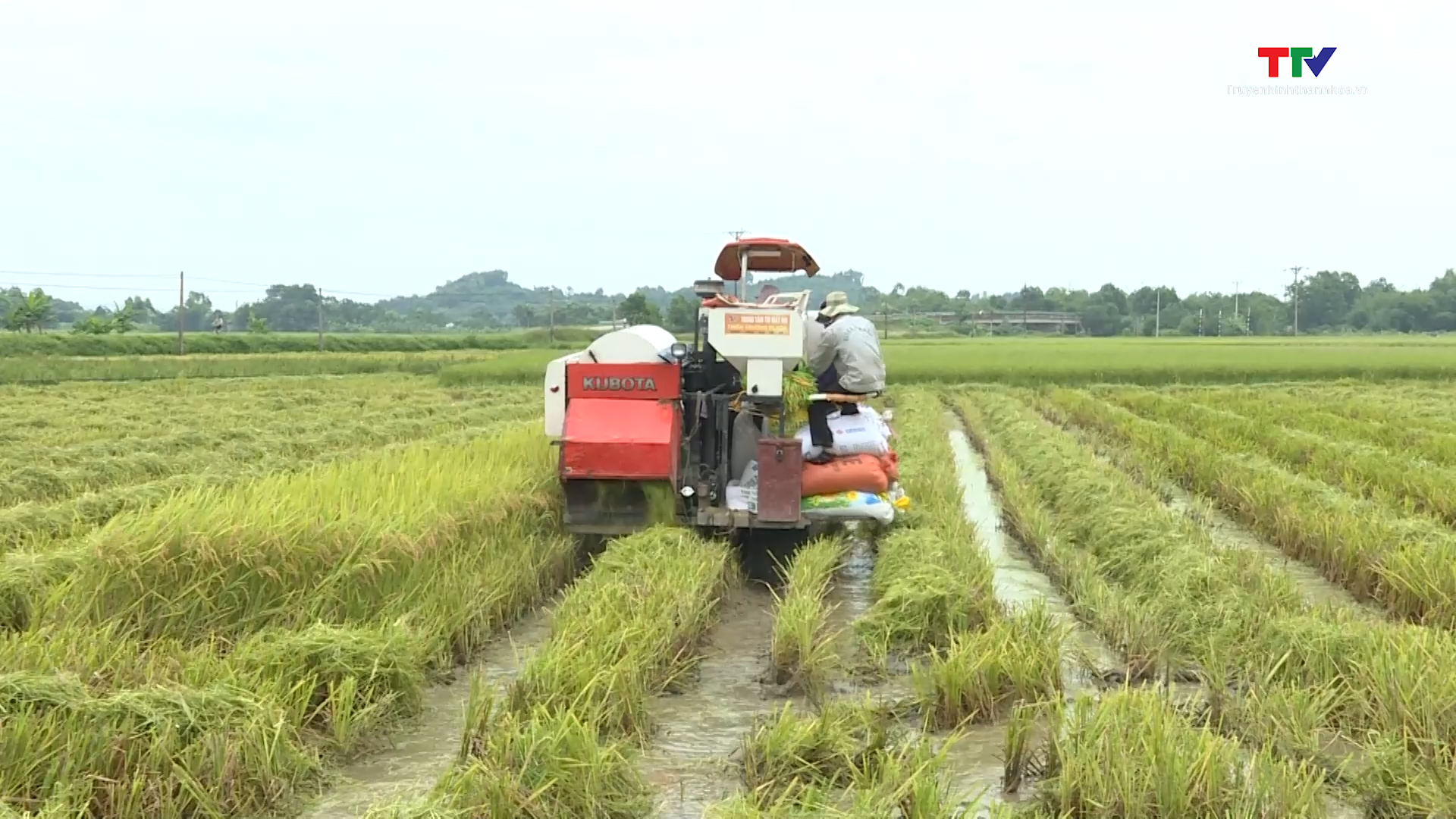 Tăng cường bơm tiêu úng bảo vệ sản xuất- Ảnh 7.