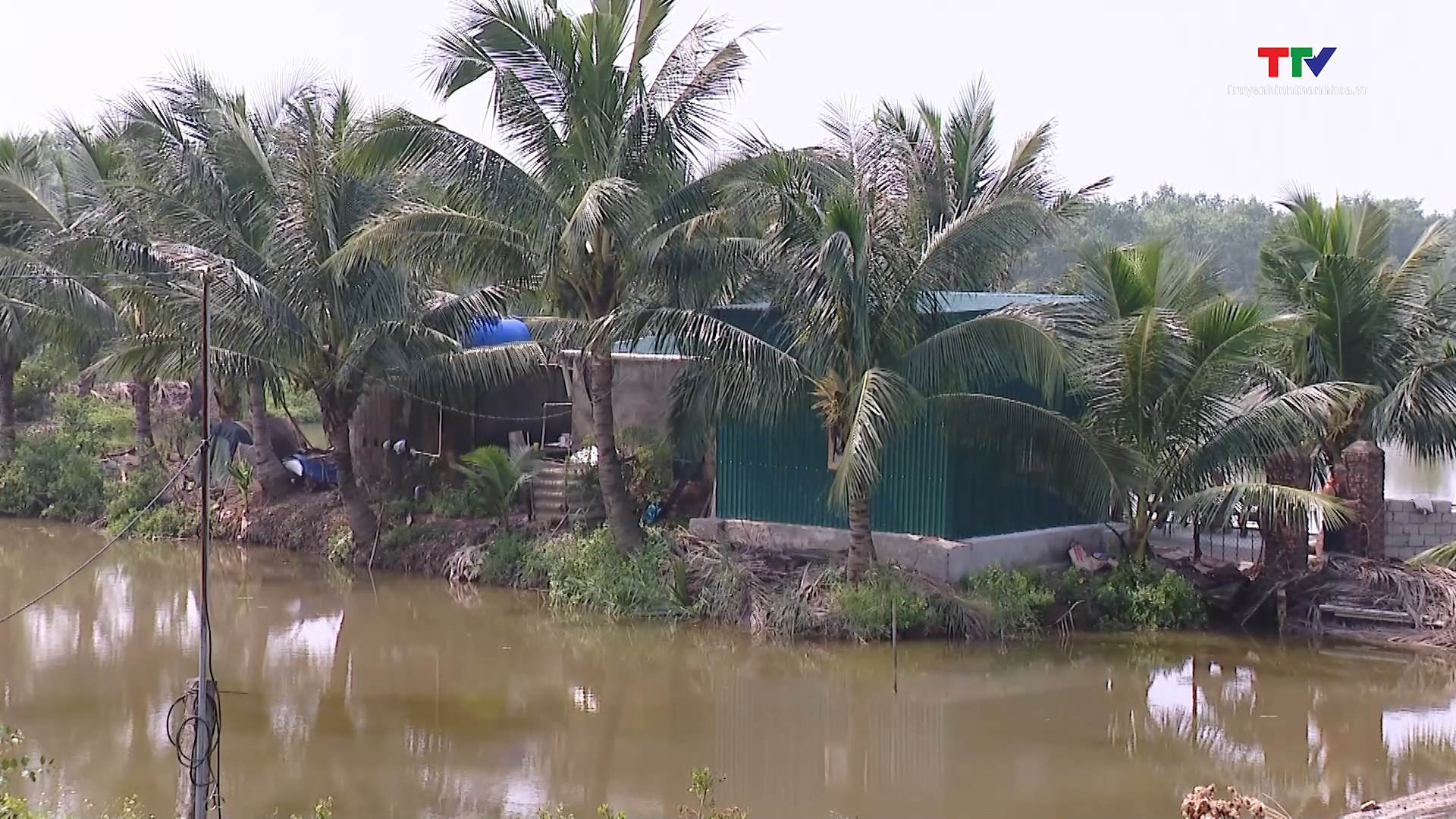 Phó Bí thư Thường trực Tỉnh uỷ Lại Thế Nguyên kiểm tra các công trình tiêu úng tại huyện Hà Trung và Nga Sơn- Ảnh 4.