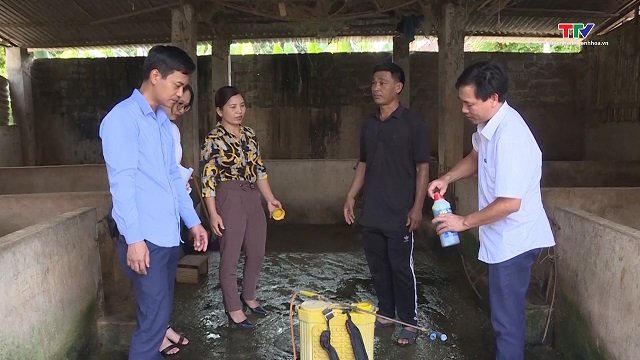 Chủ động phòng chống dịch bệnh cho gia súc, gia cầm trong mùa mưa, bão- Ảnh 1.