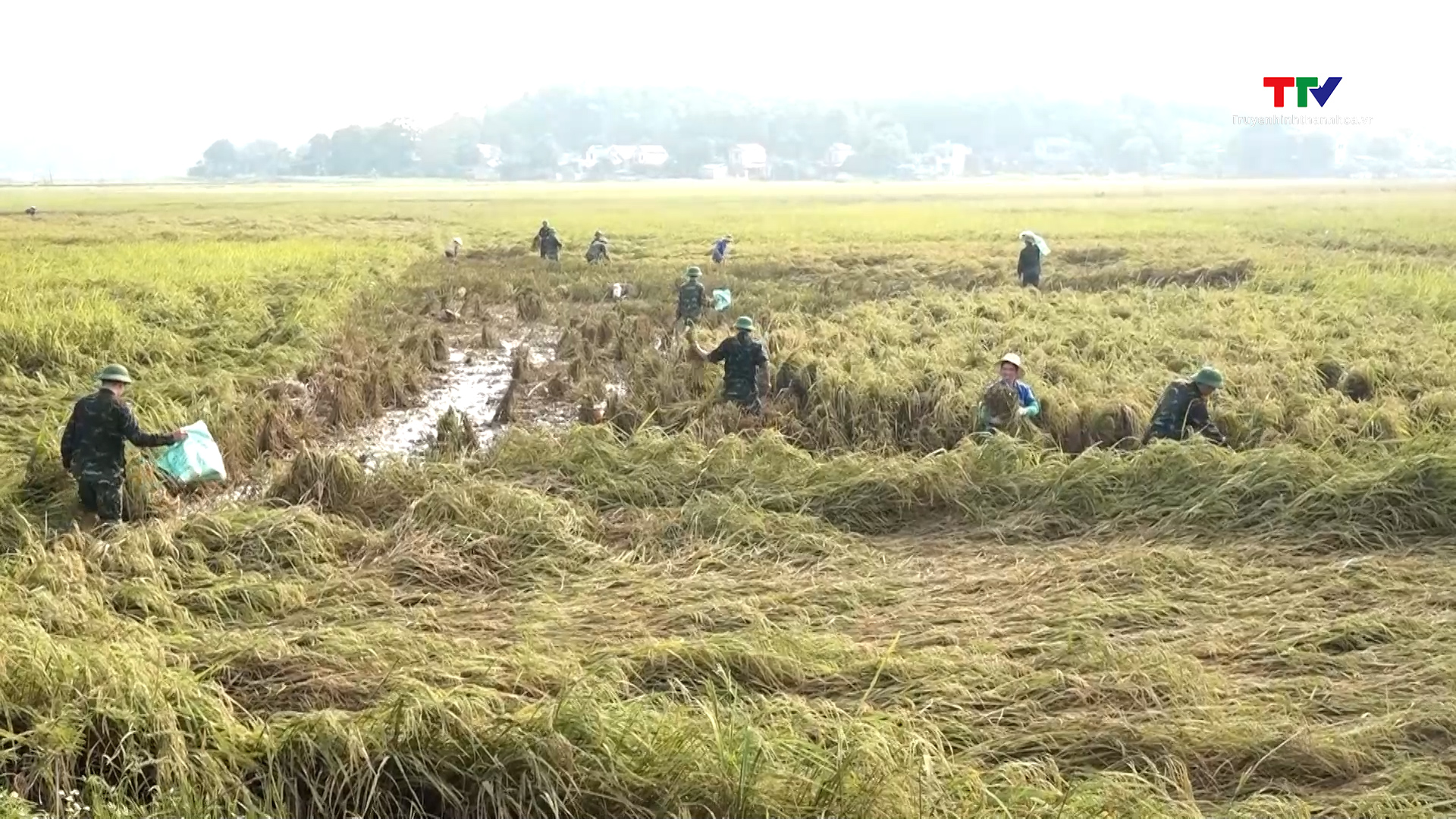 Huyện Thạch Thành huy động các lực lượng giúp dân khắc phục thiệt hại sau mưa lũ- Ảnh 1.