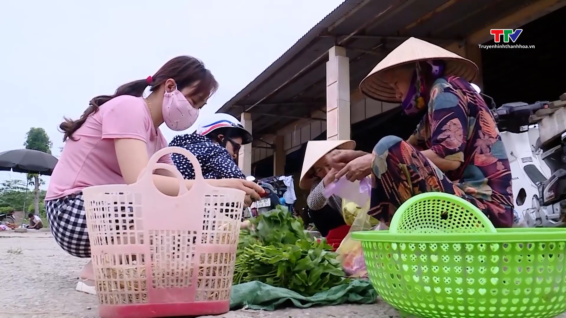 Chung tay đẩy lùi ô nhiễm do rác thải nhựa- Ảnh 2.