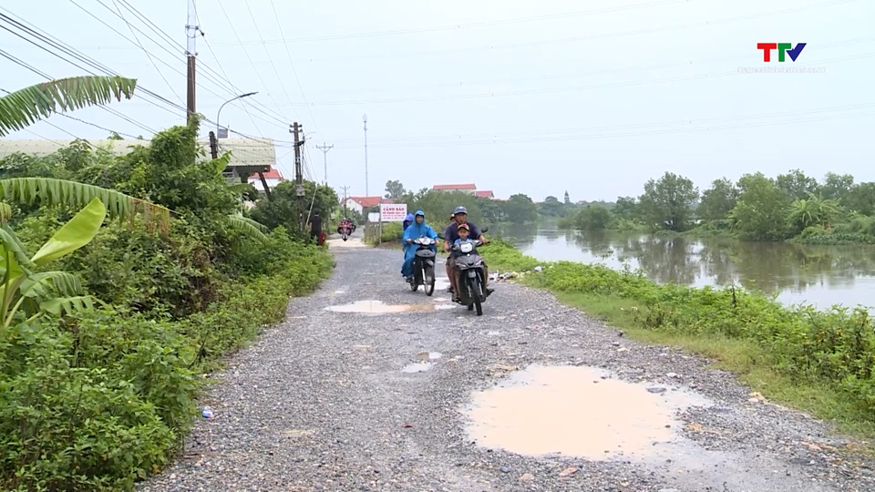 Thanh Hóa: Chủ động đảm bảo an toàn đê xung yếu- Ảnh 2.