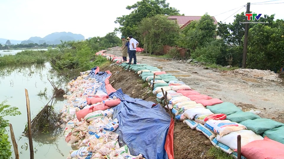 Thanh Hóa: Chủ động đảm bảo an toàn đê xung yếu- Ảnh 1.