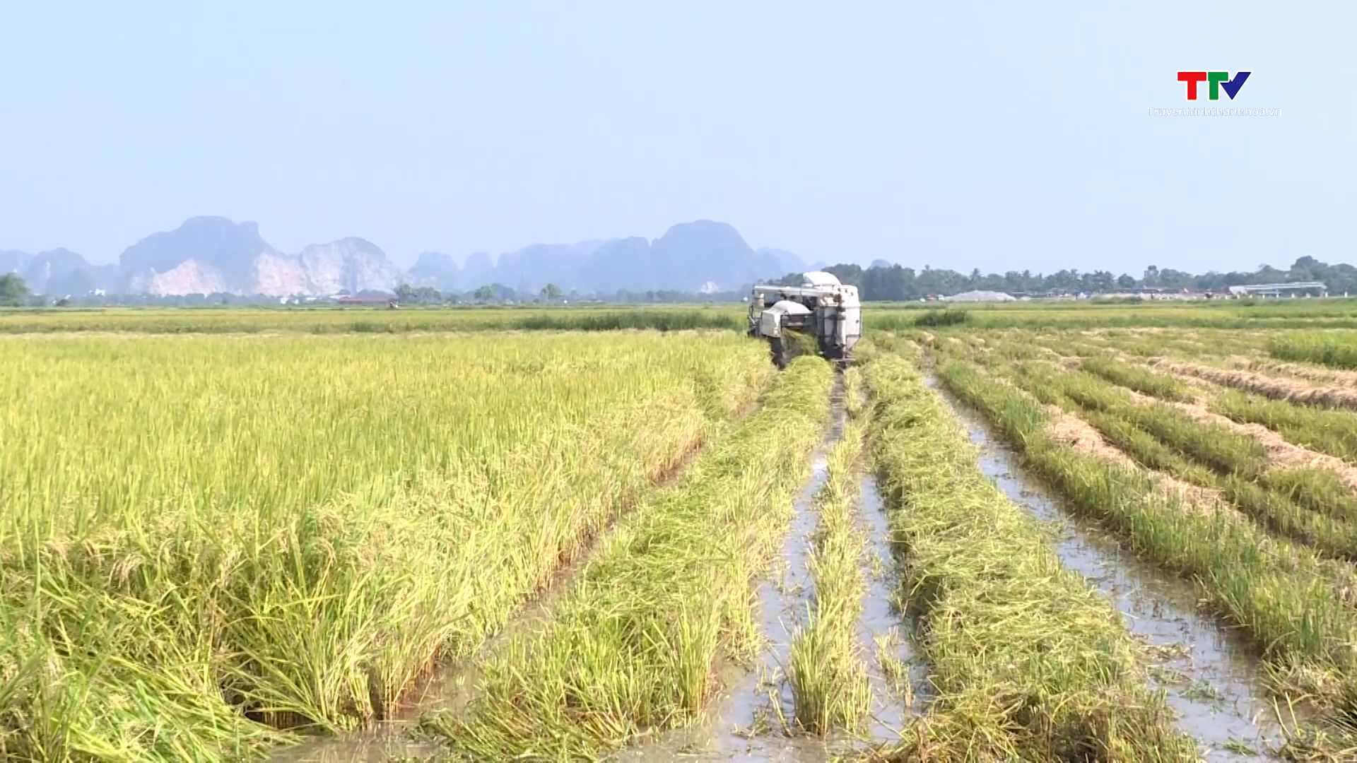 Sản xuất nông nghiệp ứng phó với điều kiện thời tiết bất thuận- Ảnh 1.