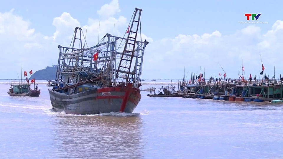  Hoàn thành kêu gọi tàu thuyền vào tránh, trú an toàn- Ảnh 1.