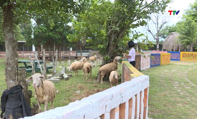 Thành phố Thanh Hóa nhộn nhịp dịp lễ Quốc khánh - Ảnh 4.