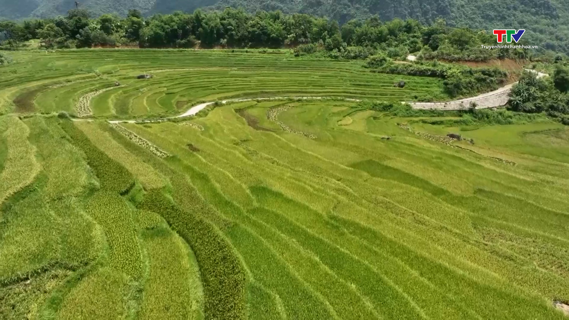 Hành trình du lịch mùa thu - đông Thanh Hoá có gì hấp dẫn?- Ảnh 1.