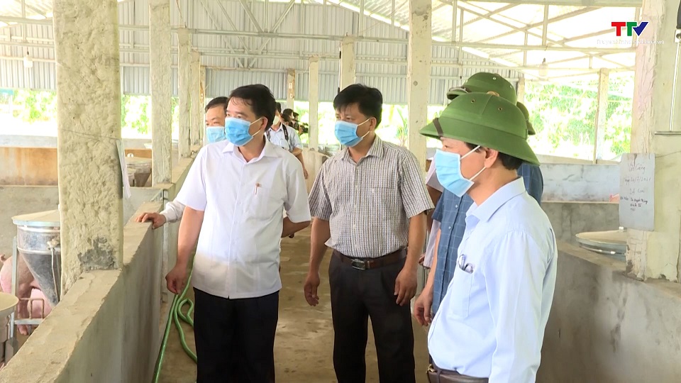 Chăn nuôi đảm bảo an toàn sinh học để phòng ngừa dịch bệnh - Ảnh 3.