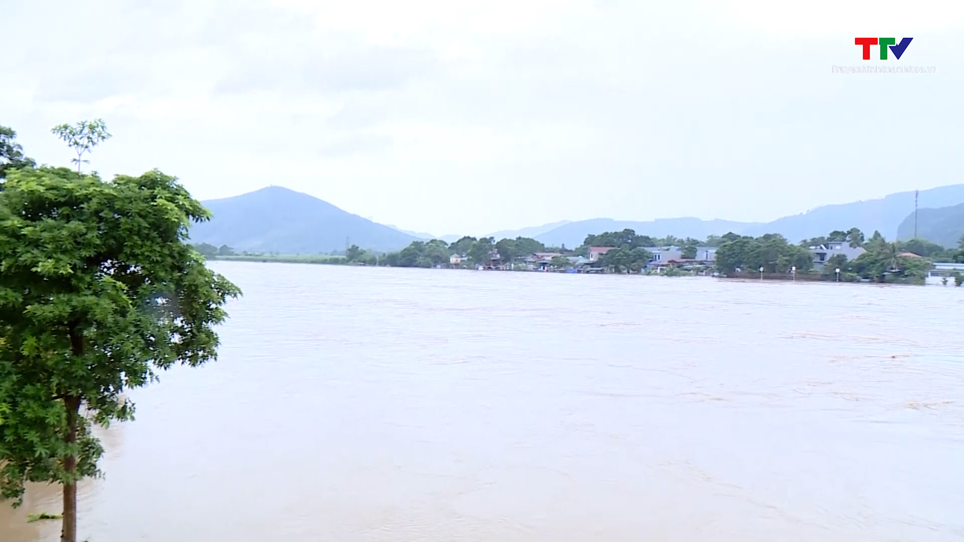 Thanh Hoá: Mưa lũ đã làm hư hỏng gần 170 ngôi nhà, hàng nghìn ha lúa và hoa màu bị ngập úng- Ảnh 3.