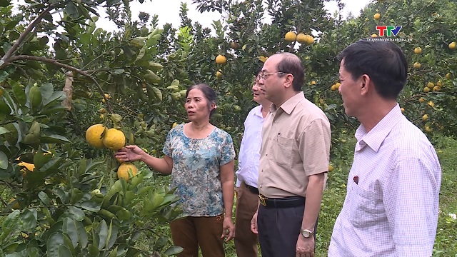 Như Thanh phát triển các mô hình trang trại tổng hợp theo hướng bền vững- Ảnh 1.