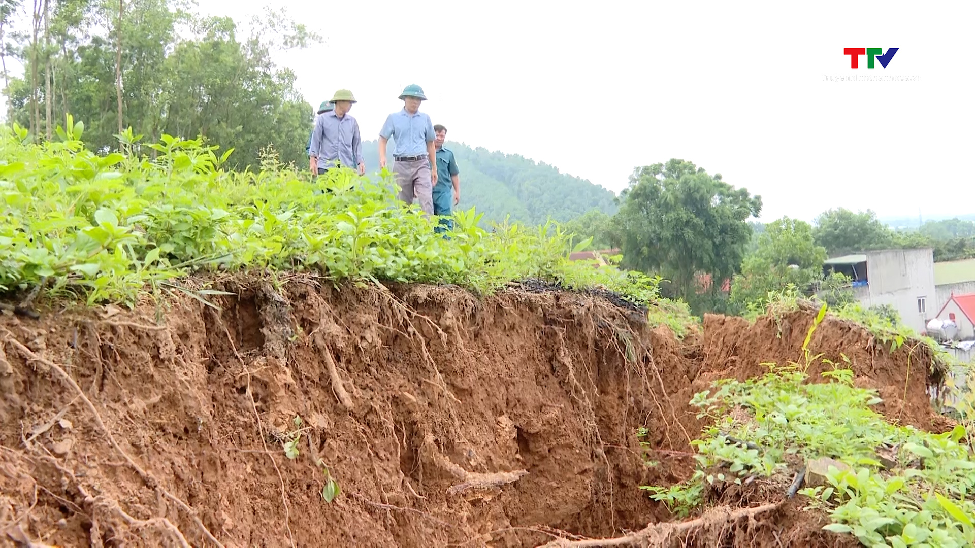 Nguy cơ sạt lở đe doạ hàng chục hộ dân xã Thành Trực, huyện Thạch Thành- Ảnh 4.