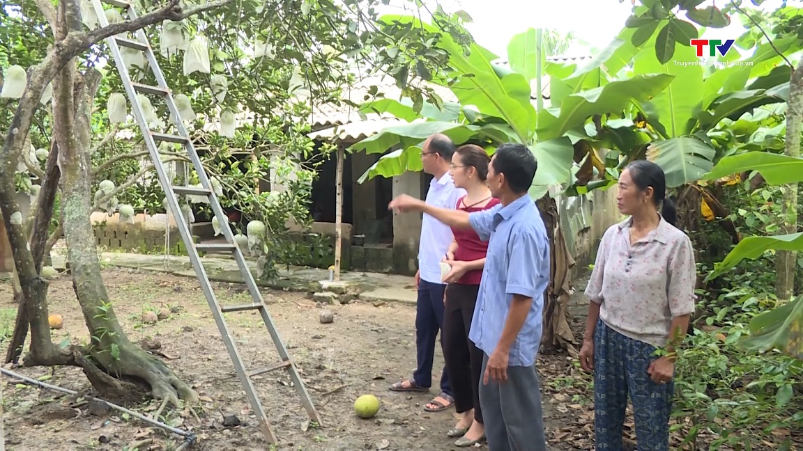 Cần sớm có hướng giải quyết đối với những trường hợp bị mất Giấy chứng nhận quyền sử dụng đất xin cấp lại ở xã Quảng Nhân, Quảng Xương- Ảnh 7.