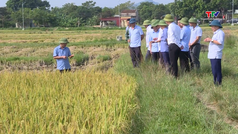 Lãnh đạo Sở Nông nghiệp và Phát triển nông thôn kiểm tra công tác chuẩn bị ứng phó bão số 3- Ảnh 1.