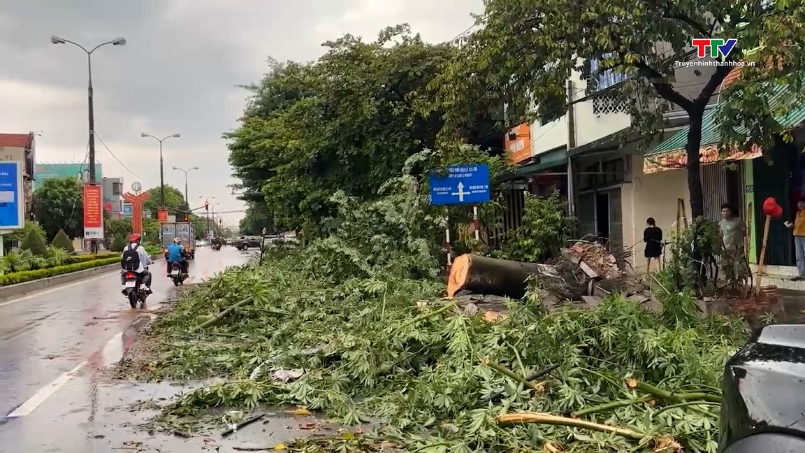 Mưa to gây ách tắc giao thông và cây đổ tại thành phố Thanh Hóa- Ảnh 1.