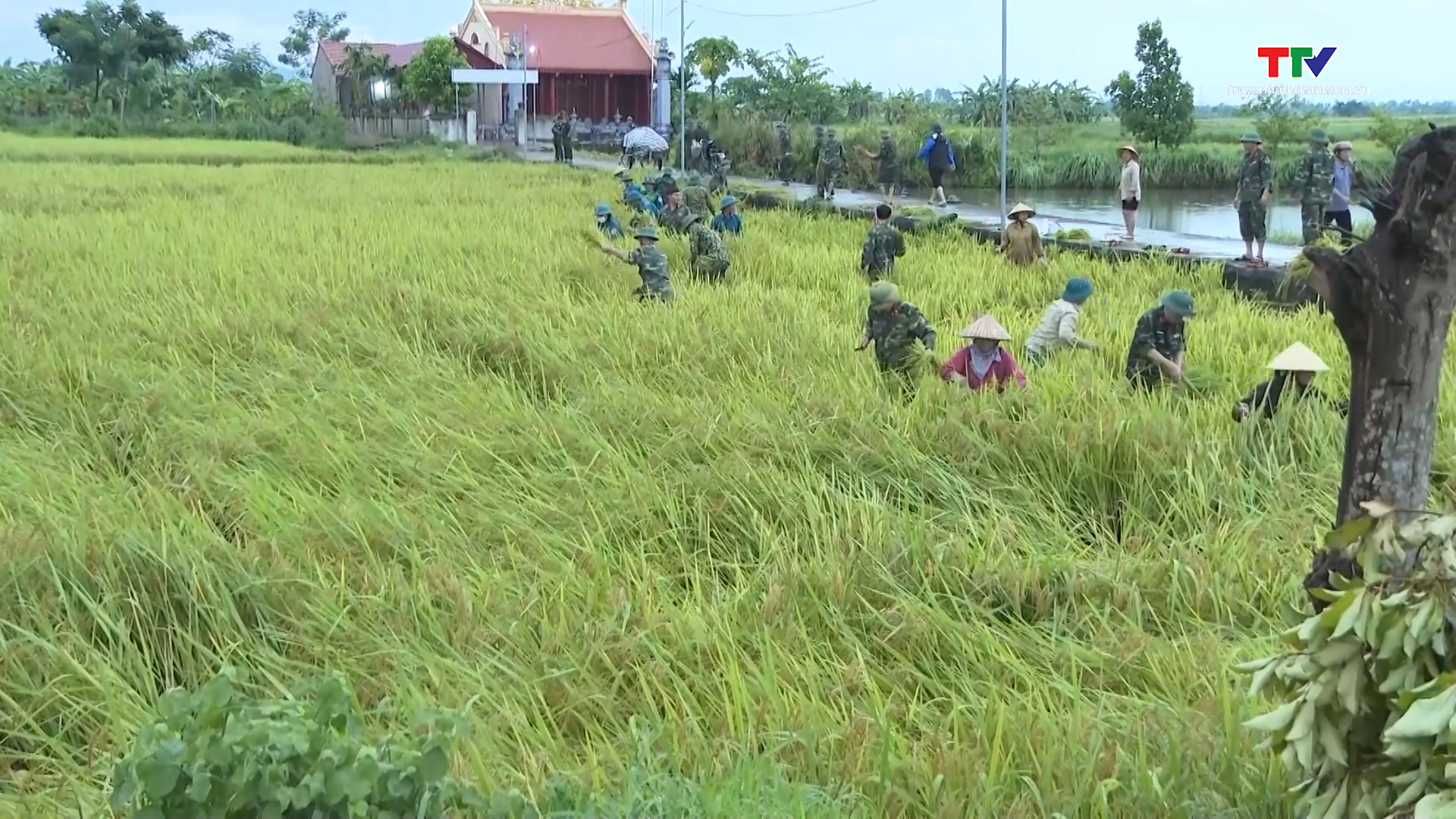 Lực lượng vũ trang Thanh Hóa tham gia ứng phó với bão số 3- Ảnh 1.