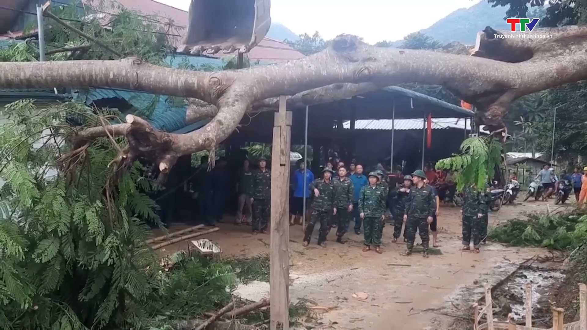 Lực lượng vũ trang Thanh Hóa tham gia ứng phó với bão số 3- Ảnh 6.