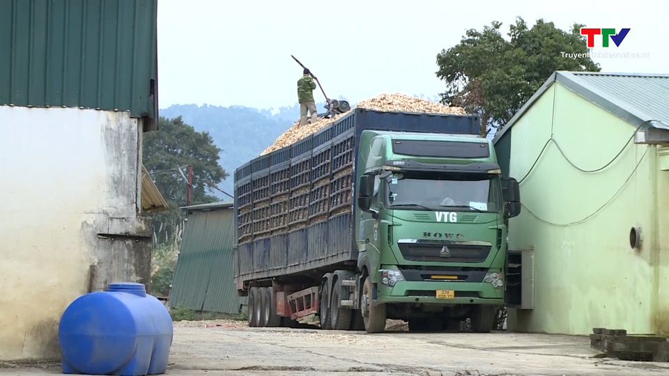 Các doanh nghiệp đẩy mạnh thị trường xuất khẩu Gỗ và các sản phẩm từ gỗ- Ảnh 4.