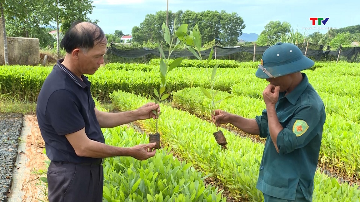 Nghiên cứu, chuyển giao kỹ thuật thâm canh cây trồng mới phục vụ sản xuất nông nghiệp- Ảnh 4.