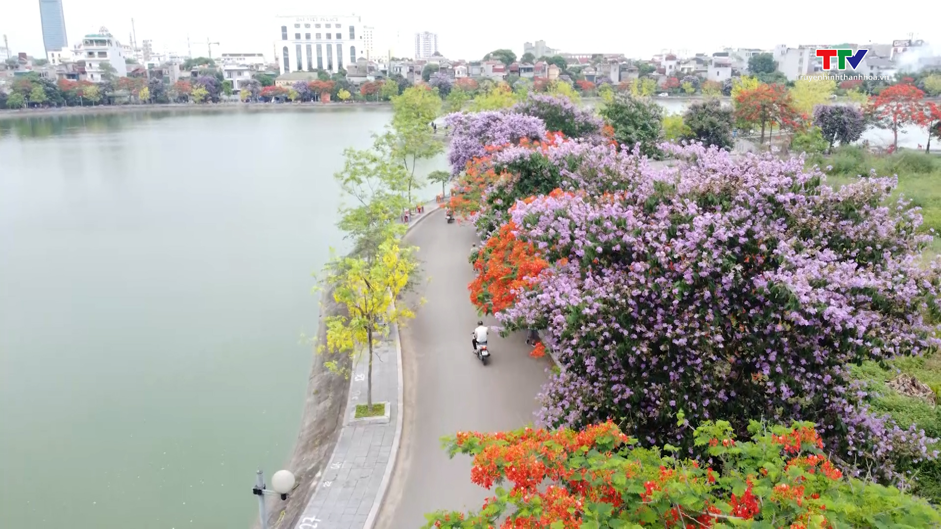 Mùa hoa gọi- Ảnh 5.