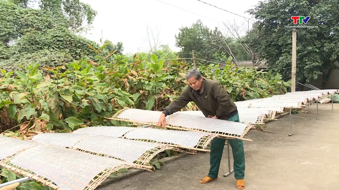 Làng nghề miến dong Vạn Thành vào Tết- Ảnh 1.