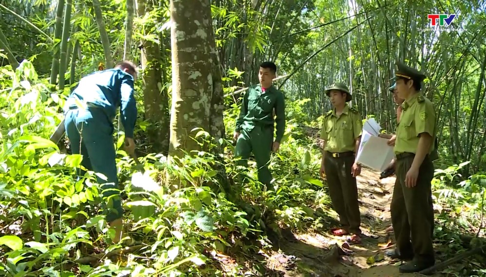 Tăng cường chỉ đạo, tổ chức thực hiện quyết liệt các biện pháp bảo vệ rừng, phòng cháy, chữa cháy rừng trên địa bàn tỉnh- Ảnh 1.