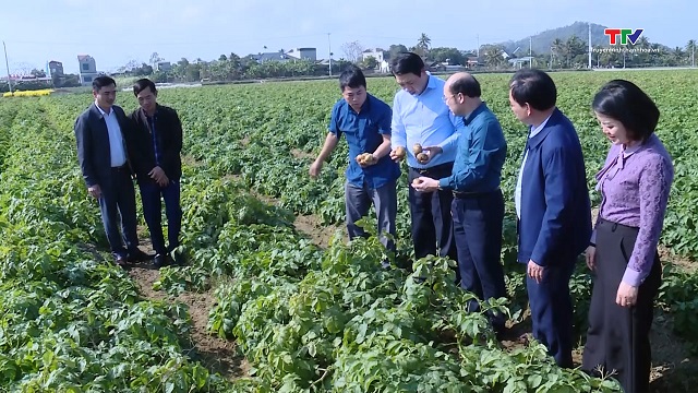 Phó Chủ tịch UBND tỉnh Lê Đức Giang trao quà Tết và kiểm tra sản xuất tại huyện Hoằng Hóa- Ảnh 3.