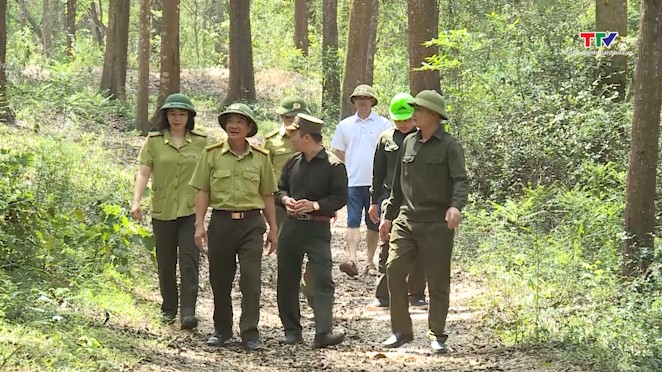 Thực hiện quyết liệt các biện pháp bảo vệ rừng, phòng cháy, chữa cháy rừng trên địa bàn tỉnh- Ảnh 1.