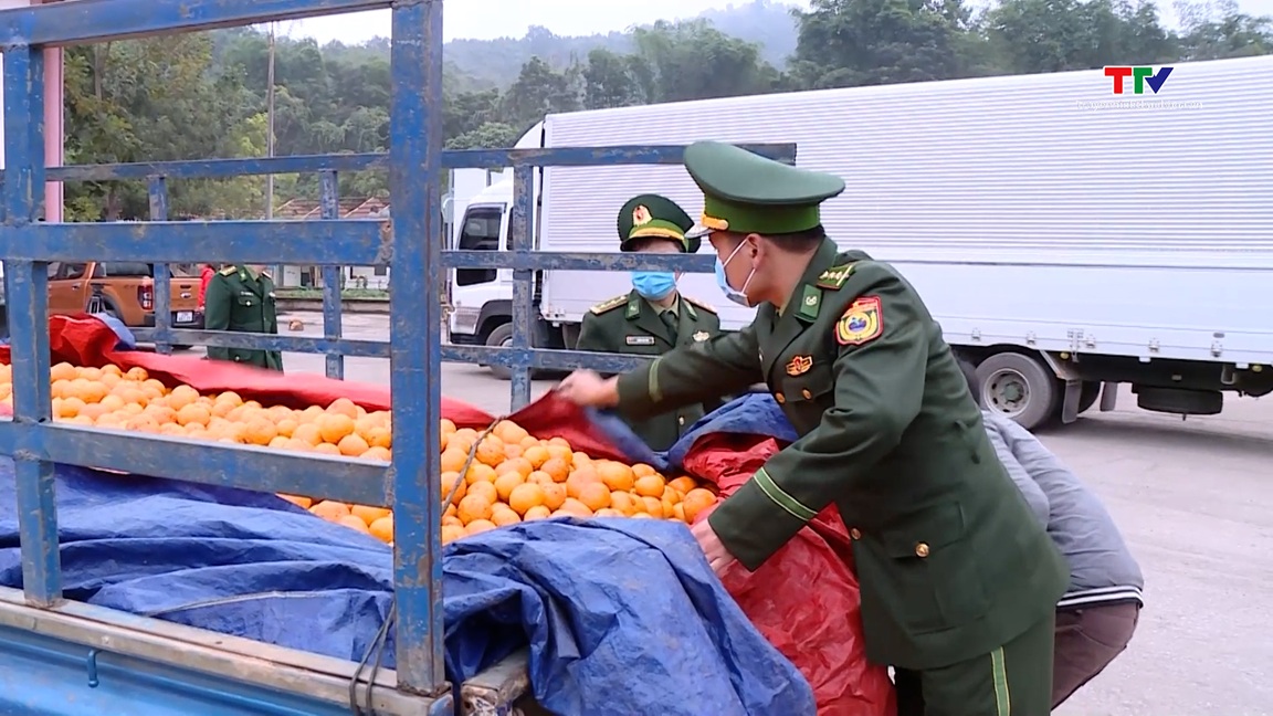 Đảm bảo an ninh biên giới trong dịp Tết Ất Tỵ- Ảnh 1.