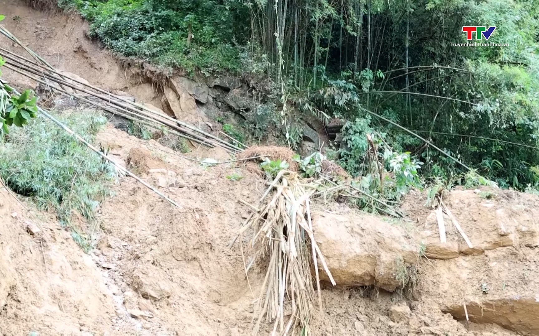Xã Trung Hạ khẩn trương khắc phục hậu quả do bão số 10 gây ra