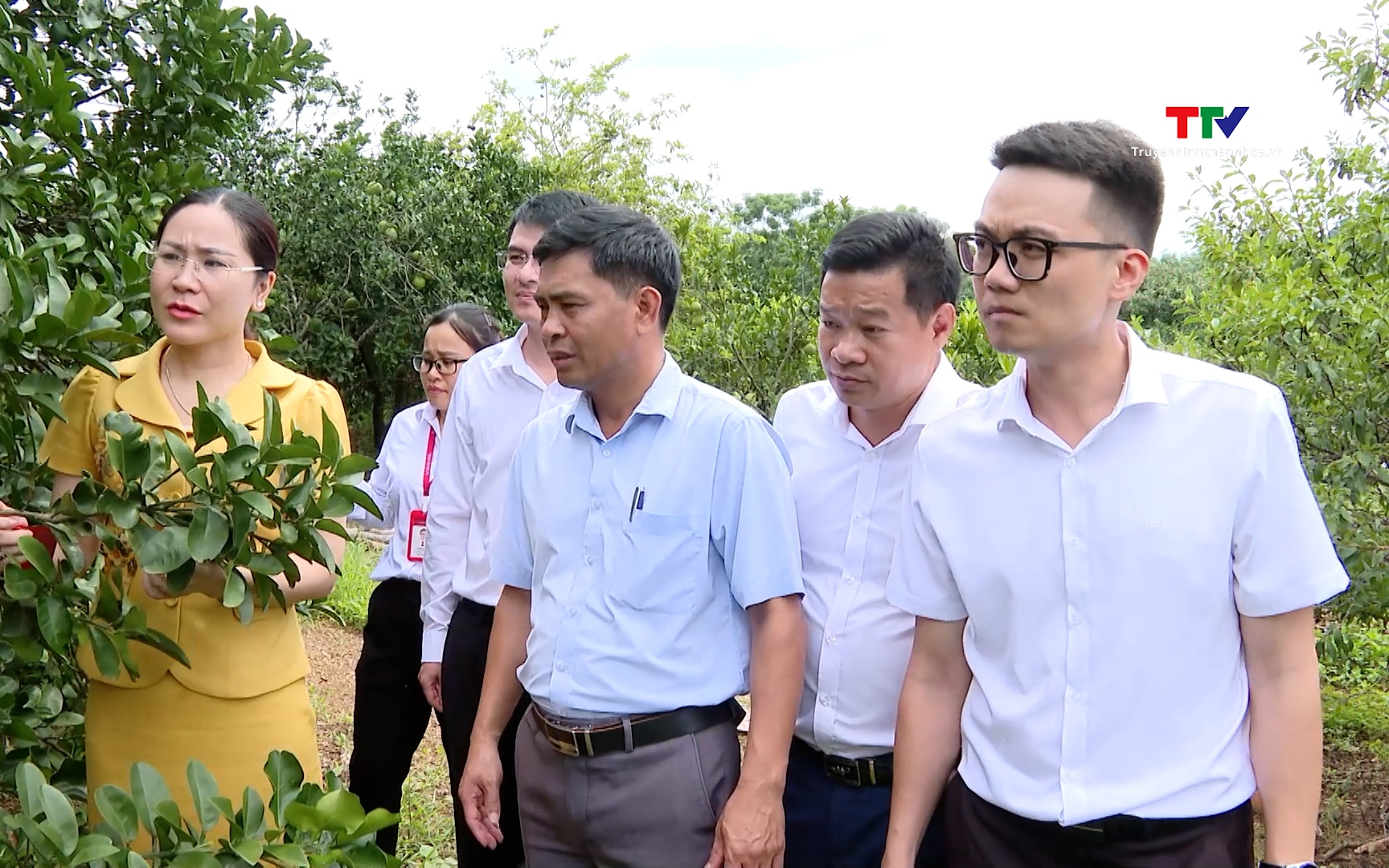 Hỗ trợ hội viên nông dân phát triển kinh tế vươn lên làm giàu