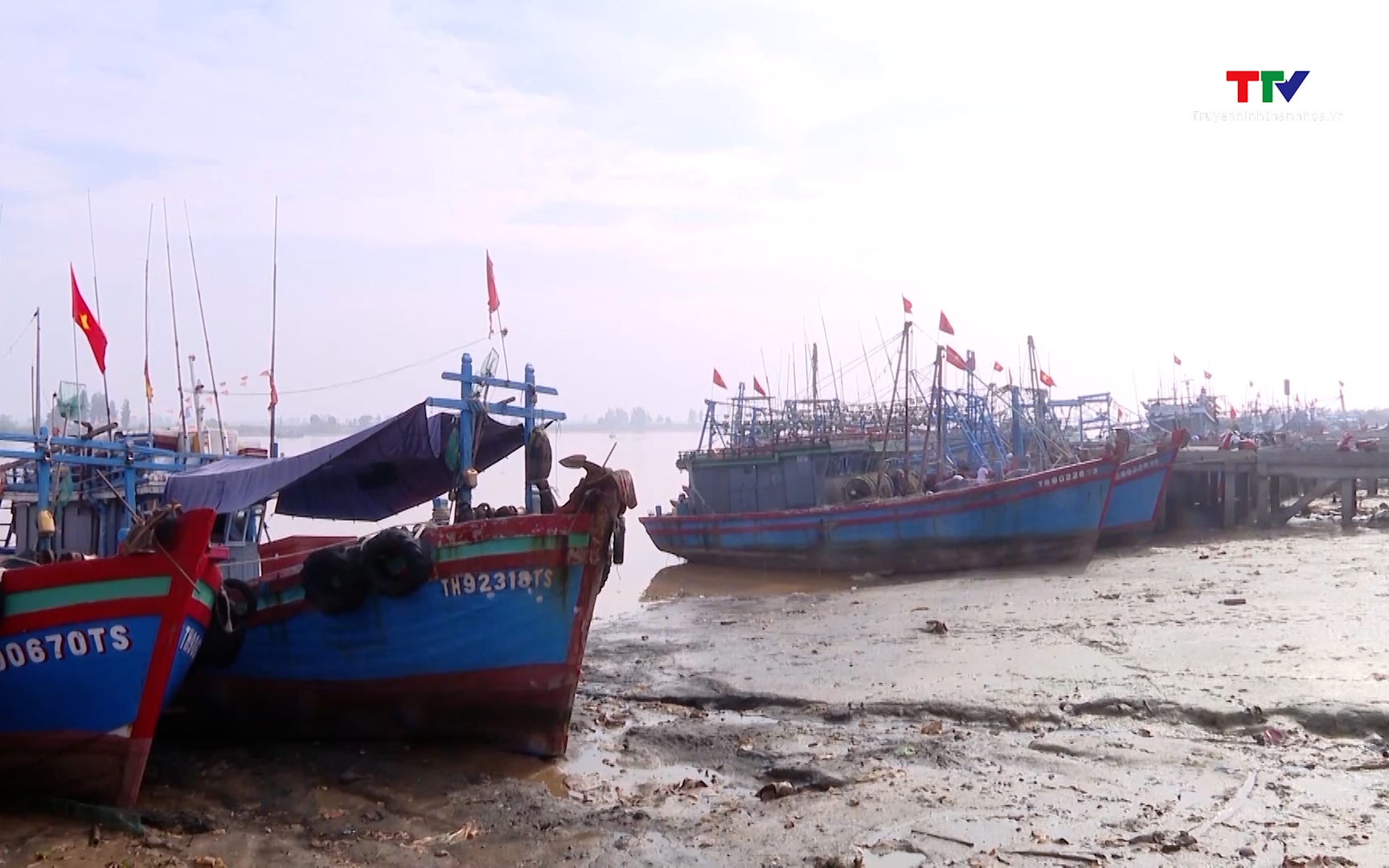 Chống khai thác IUU và phát triển bền vững ngành thủy sản ở Việt Nam