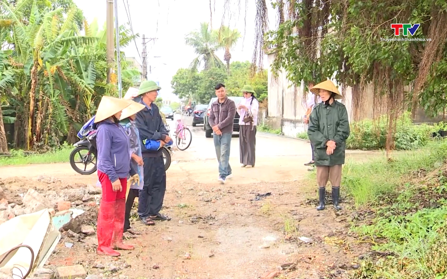 Ô nhiễm môi trường tại trang trại chăn nuôi ở xã Quảng Bình