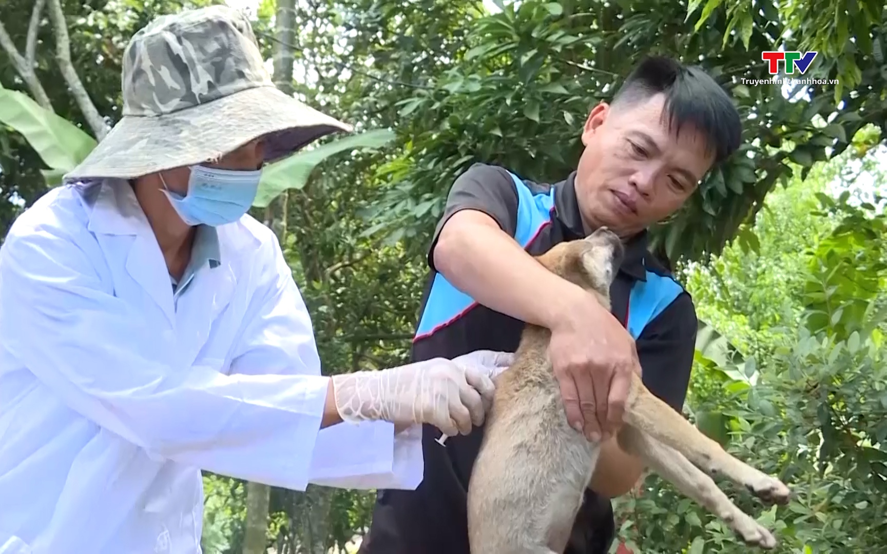 Phấn đấu loại trừ ho&agrave;n to&agrave;n bệnh dại ở người