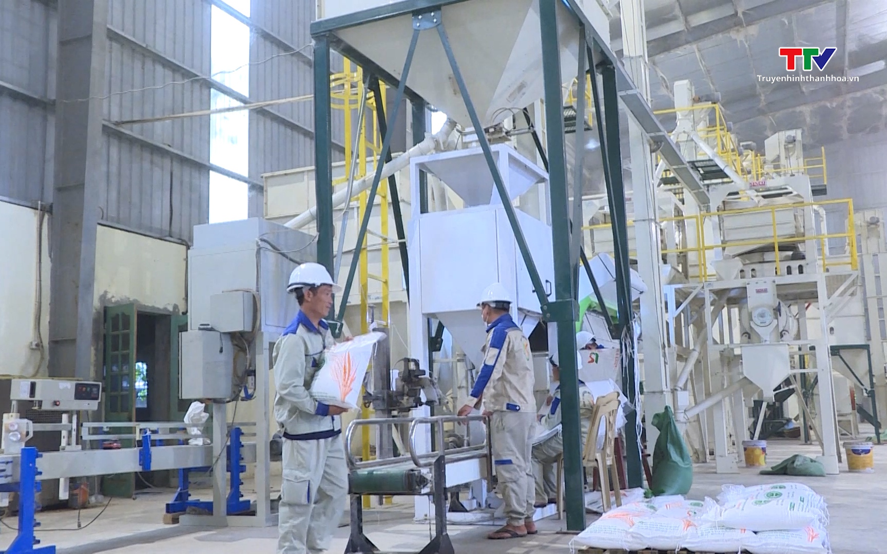 Nông sản của Việt Nam lập kỷ lục xuất khẩu mới- Ảnh 1. Doanh nghiệp liên kết với nông dân trong sản xuất, tiêu thụ nông sản