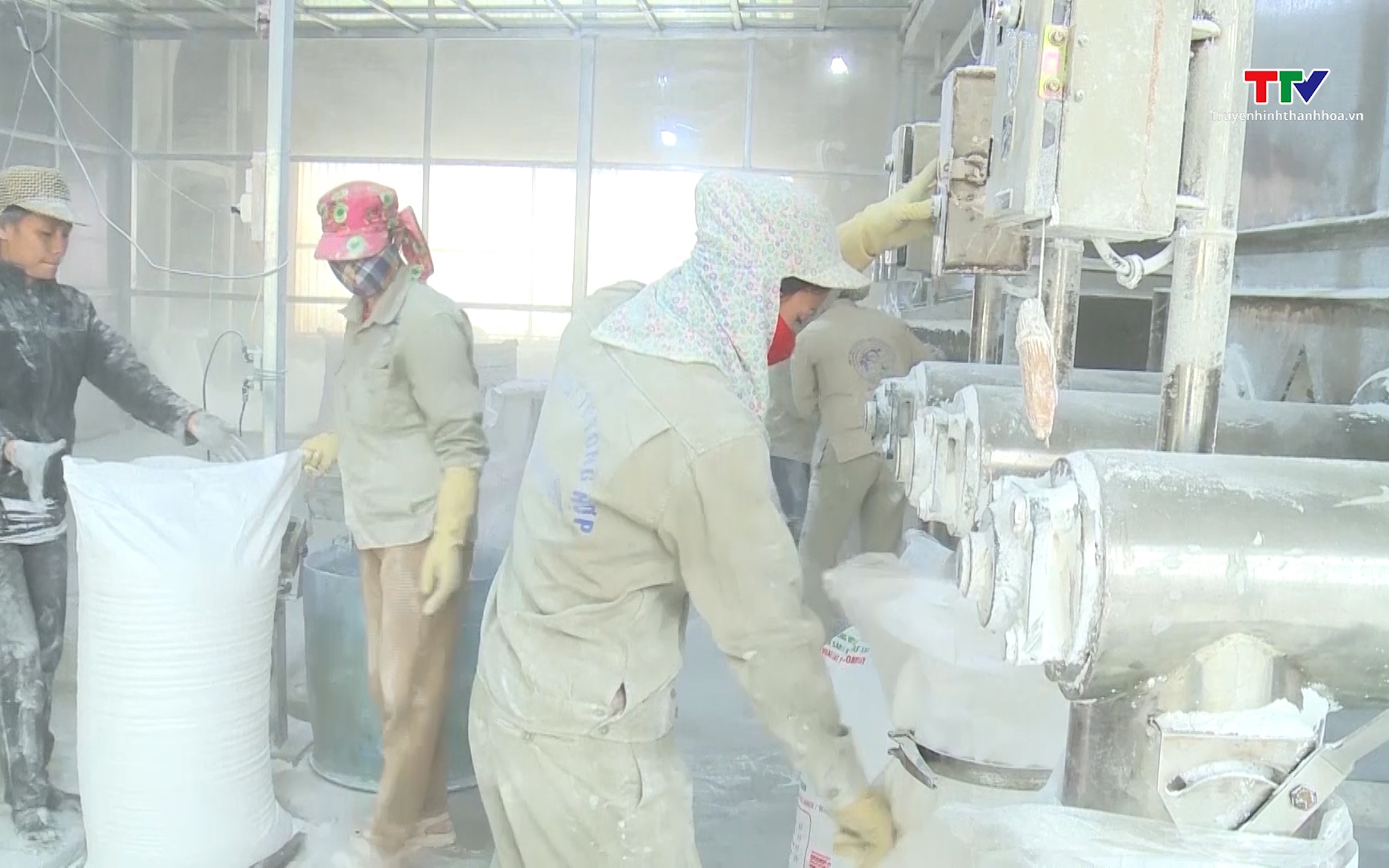 Xuất khẩu sắn vượt 1 tỷ USD nhưng thiếu tính bền vững 