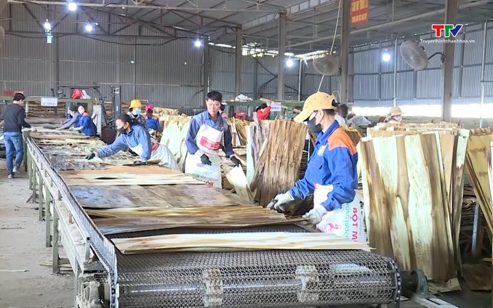 Ngành gỗ thu 14 tỷ USD từ xuất khẩu- Ảnh 1. Ngành gỗ Việt Nam đối diện với phòng vệ thương mại của Hoa Kỳ