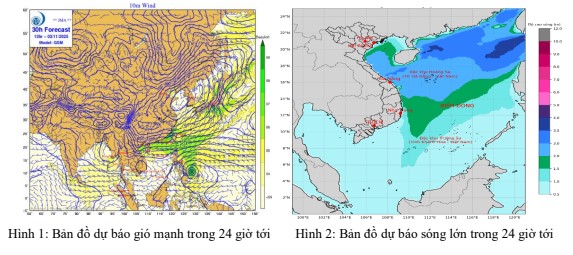 Đêm 03/11 ngày 04/11, vùng biển Thanh Hóa có gió Đông Bắc mạnh cấp 6, có lúc cấp 7, giật cấp 8- Ảnh 2.