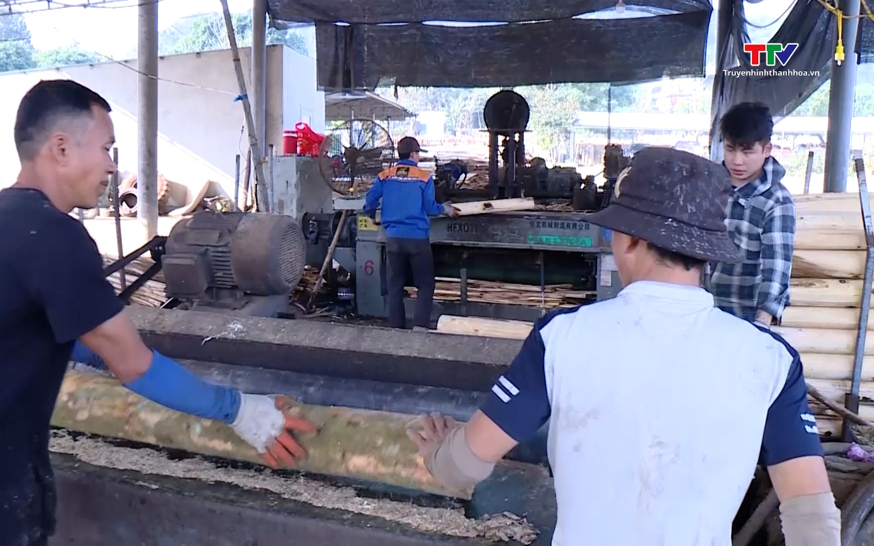 Thanh Hóa phát triển được 10 chuỗi liên kết sản xuất chế biến lâm sản