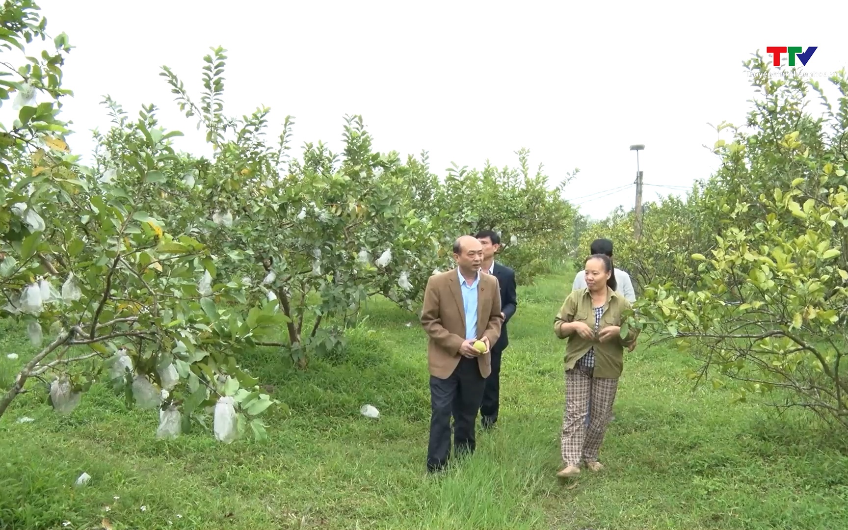 N&ocirc;ng d&acirc;n Thanh H&oacute;a chung sức x&acirc;y dựng N&ocirc;ng th&ocirc;n mới